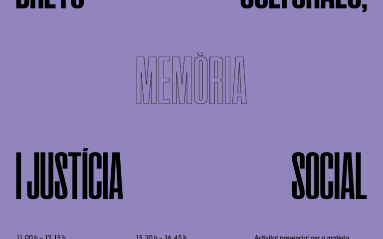 Seminari Feminismes UdL 2025